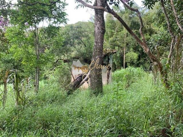 #202489 - Terreno para Venda em Itapecerica da Serra - SP - 3