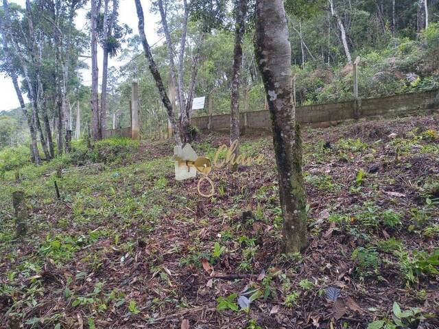 #202512 - Terreno para Venda em Juquitiba - SP - 2