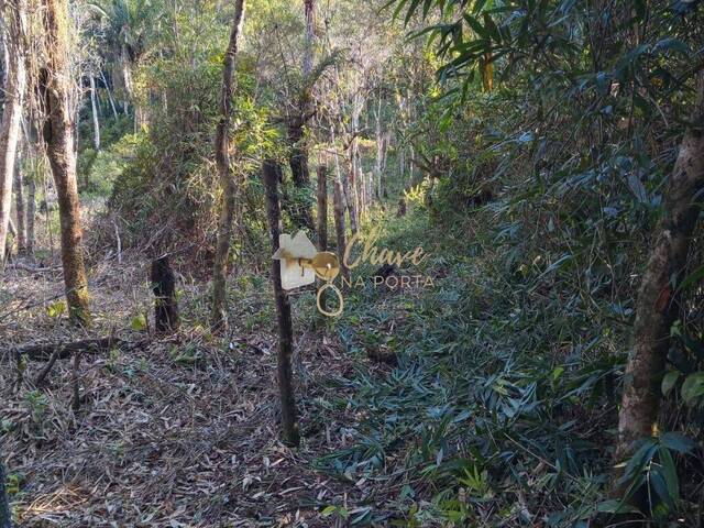 #202512 - Terreno para Venda em Juquitiba - SP - 3