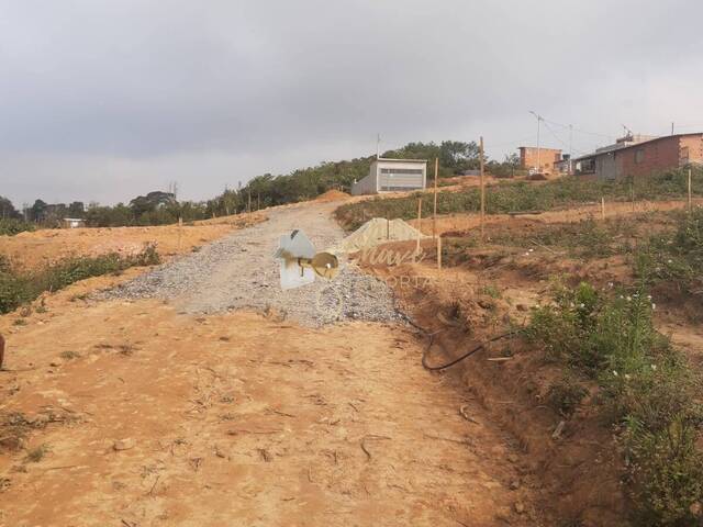 #202614 - Terreno para Venda em São Paulo - SP - 3