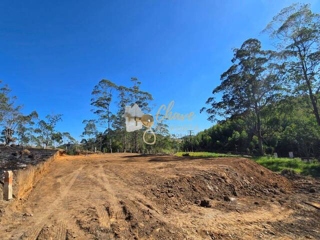 #203116 - Área para Venda em Santa Isabel - SP - 2