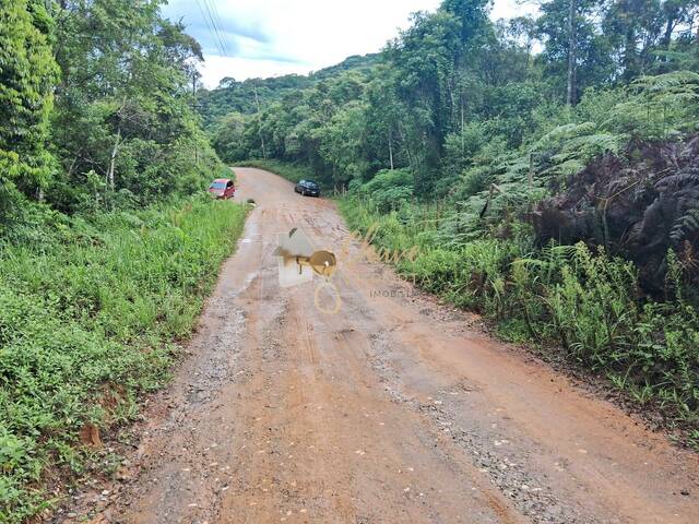 #203389 - Área para Venda em Juquitiba - SP - 3